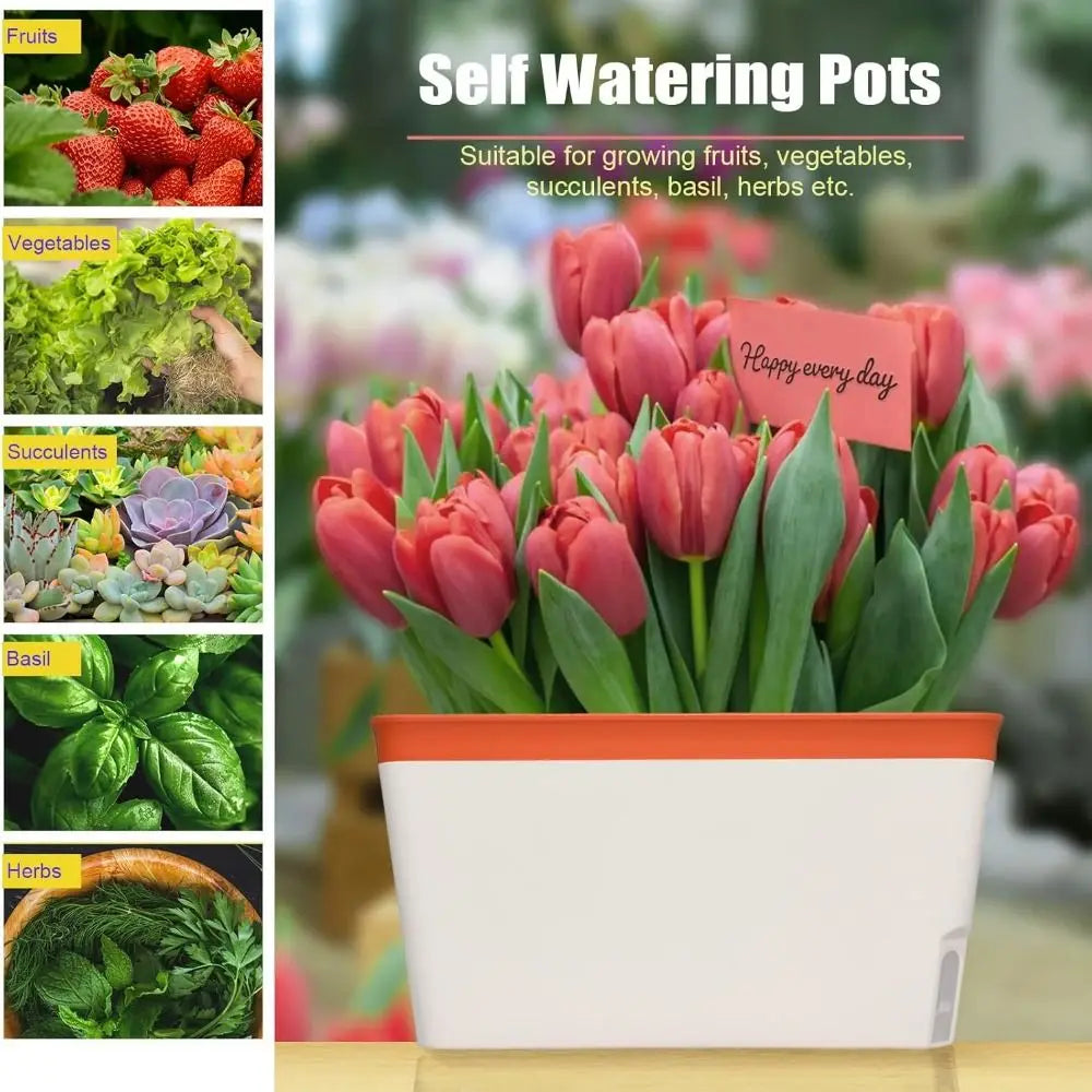 Modern Self Watering Planter Pots Decorative Visual Water Level Window Herb Planter Box Indoor Herb Garden Pots Vegetables