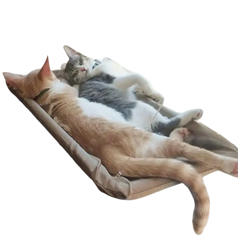 Beige cushioned pet cat hammock aerial mounted on a window for cats to rest and climb visible from the front angle
