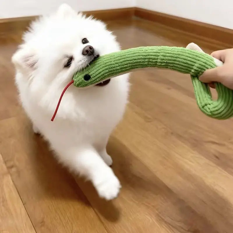 黒い目と赤い舌を備えた緑のコーデュロイのヘビの犬おもちゃのぬいぐるみペット玩具。ペット向けのソフトなおもちゃのタイプとして設計されています。