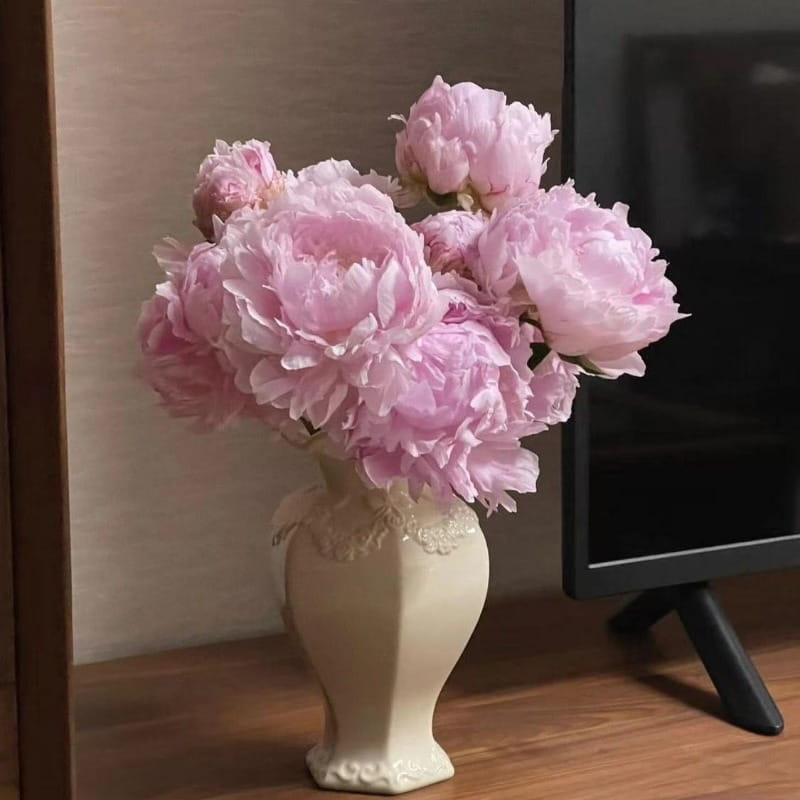 Un jarrón de cerámica moderno francés color crema con un delicado relieve tipo encaje alrededor del cuello y la base, que sostiene un ramo de suaves peonías rosadas, ideal para la decoración del hogar.