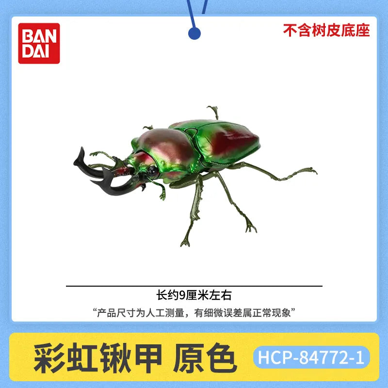 Original Bandai Biological Encyclopedia Gashapon Toys Stag Beetle Series 10 Phalacrognathus Muelleri Simulated Insects Model Toy