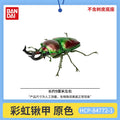 Original Bandai Biological Encyclopedia Gashapon Toys Stag Beetle Series 10 Phalacrognathus Muelleri Simulated Insects Model Toy
