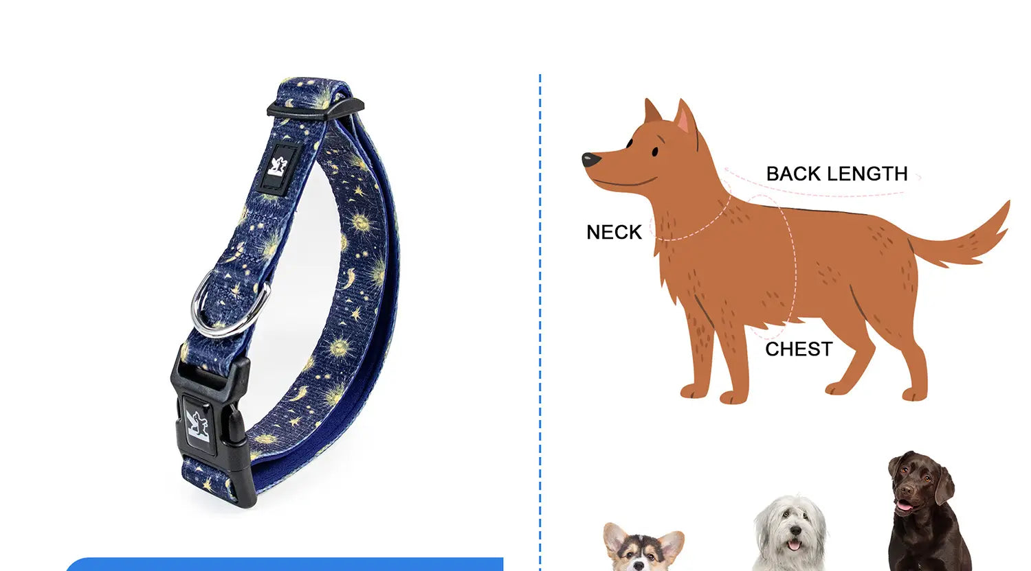 Collier pour animal de compagnie bleu foncé avec motif de ciel nocturne étoilé et boucle en plastique noire réglable pour la circonférence du cou dans un ensemble de harnais pour animal de compagnie avec laisse