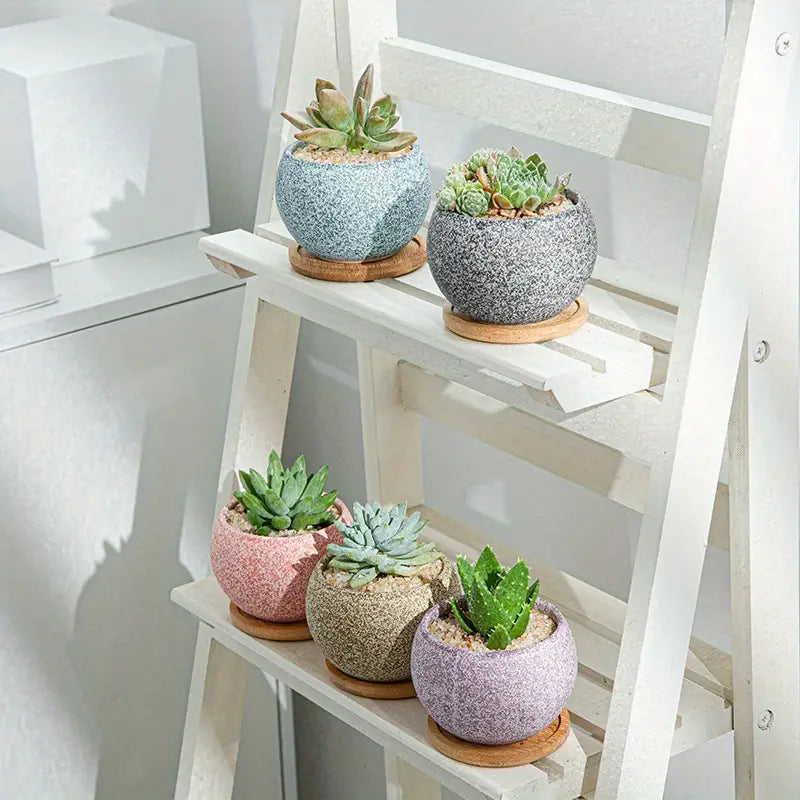 Set of five colorful speckled ceramic planters with wooden saucers designed for succulents.