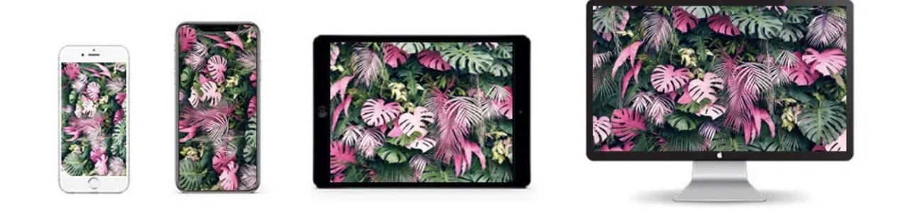 New Year Party Photography Backdrop displayed on Apple devices featuring vibrant pink and green tropical foliage wallpaper on dark backgrounds with fireworks and clock elements.