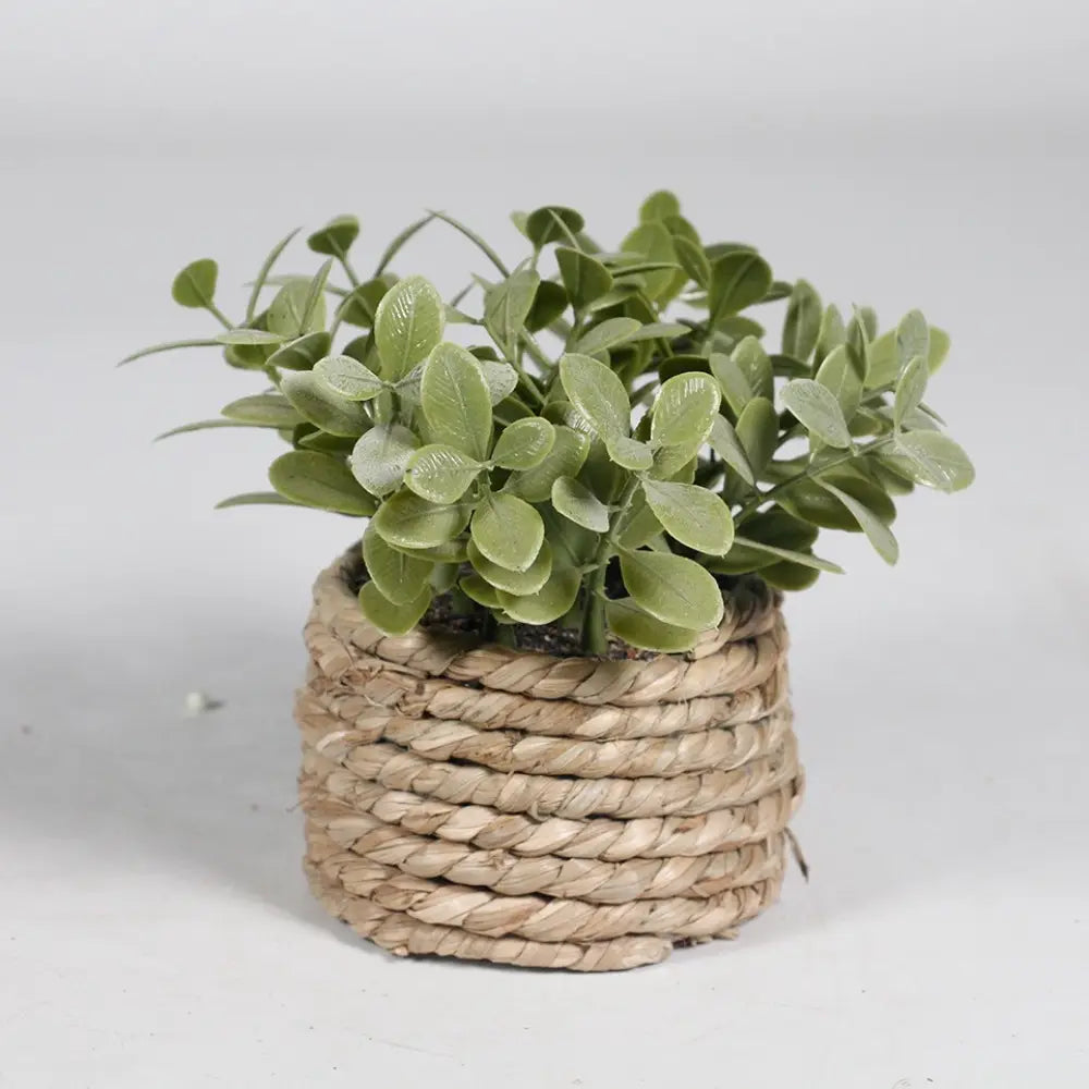Un petit pot/planteur tressé en fibres naturelles contenant un ensemble dense d’eucalyptus artificiel vert, en tant que plante artificielle en pot pour la décoration intérieure, mesurant 11 cm