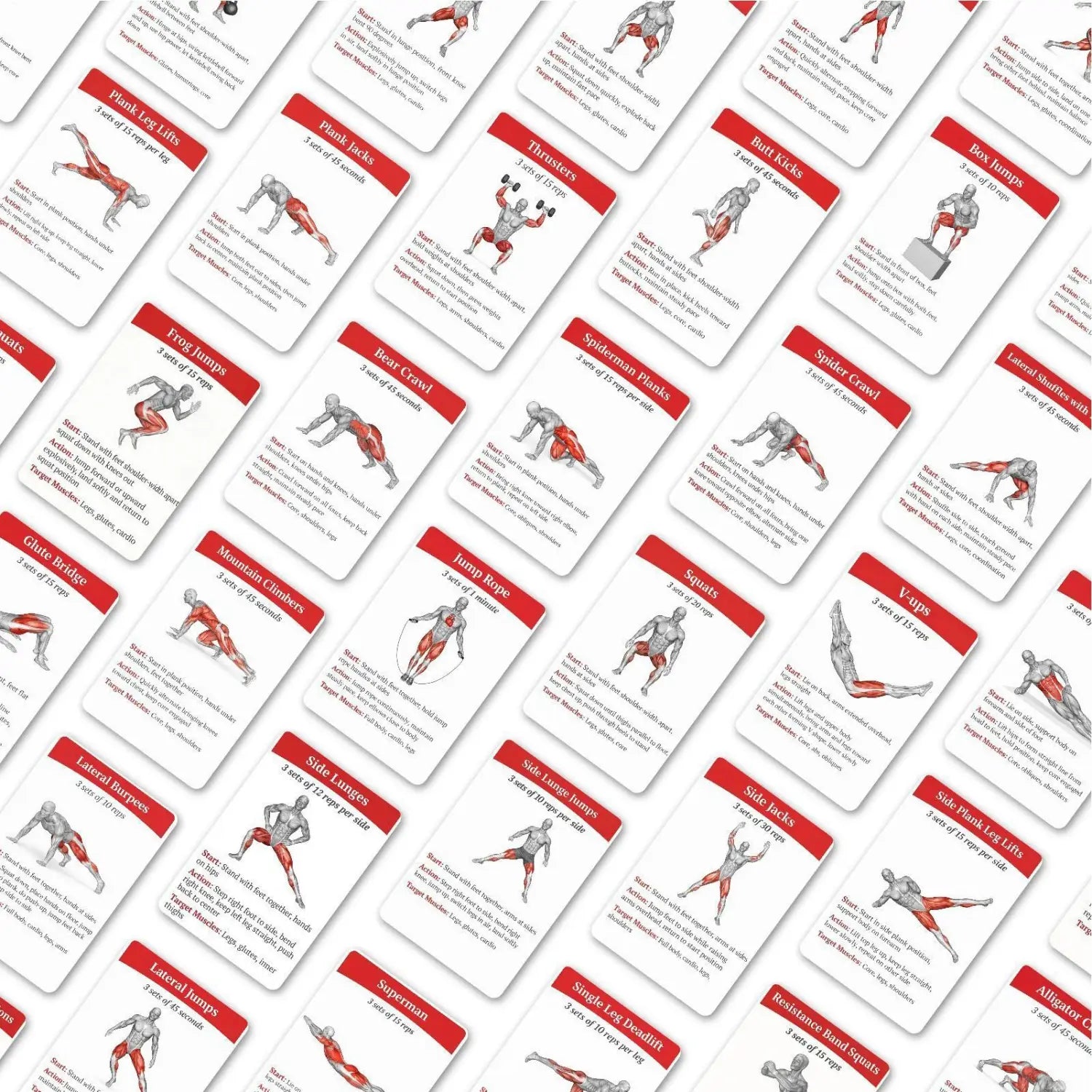 white and red fitness exercise instruction cards featuring anatomical illustrations for home and gym use in the workout cards fitness exercise deck