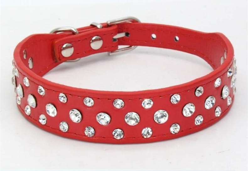 Rote Leder-Hundehalsbänder für kleine Hunde und Katzen, verziert mit funkelnden klaren Strasssteinen und einer silbernen Schnalle aus Kunstleder.