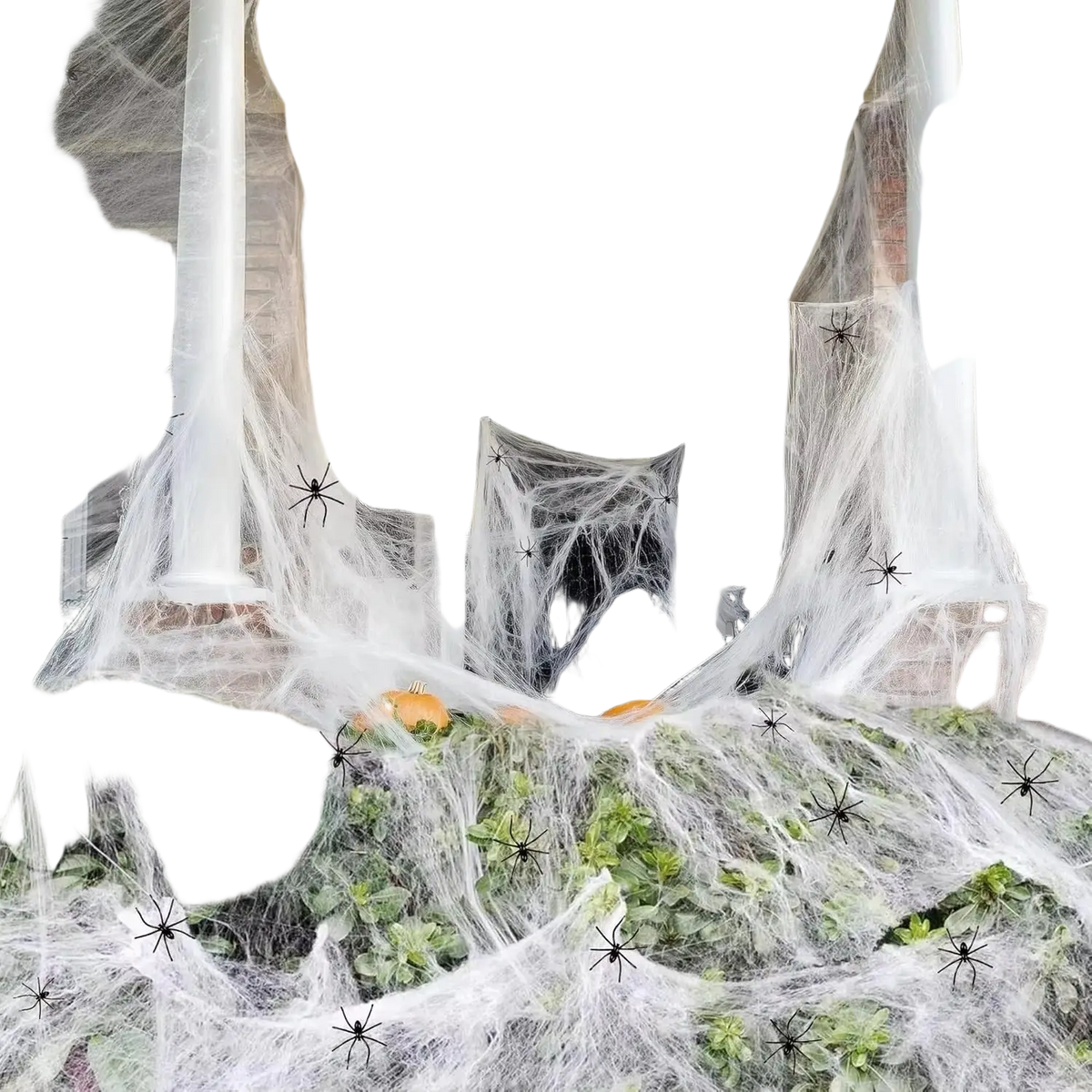 White sheer spiderweb garland with black plastic spiders for halloween party decorations and super stretch cobwebs