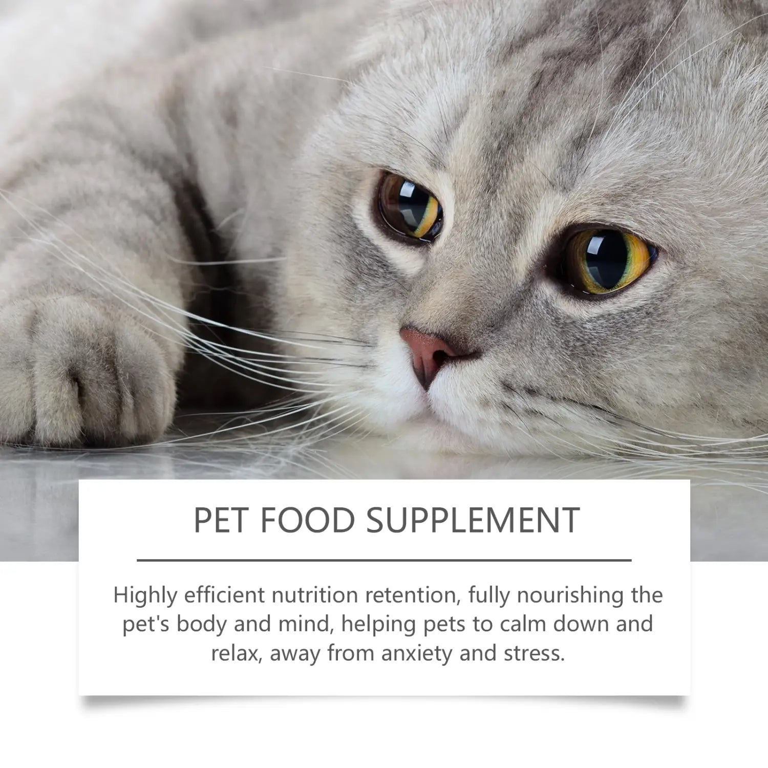 a fluffy silver tabby cat with yellow eyes resting its head on a smooth surface next to pet anxiety relief drops for dogs and cats.