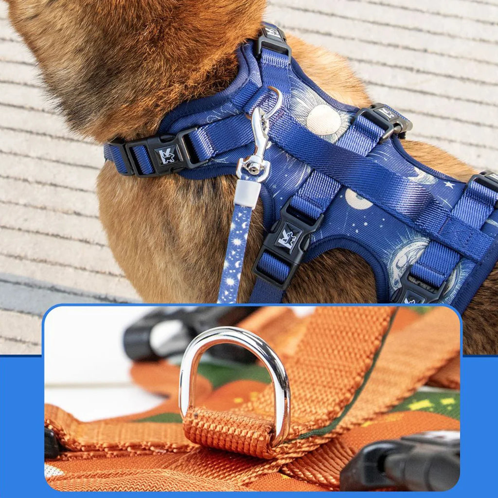 Pet Travel Set - Adjustable Dog Chest Harness / Dog Leash / Pet Bib / Pet Collar, Suitable For Small/Medium/Large Dogs