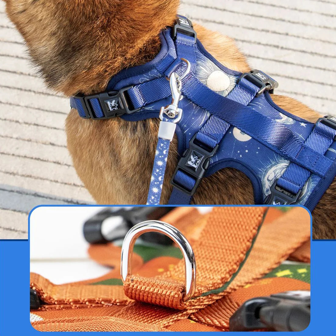 Pet Travel Set - Adjustable Dog Chest Harness / Dog Leash / Pet Bib / Pet Collar, Suitable For Small/Medium/Large Dogs