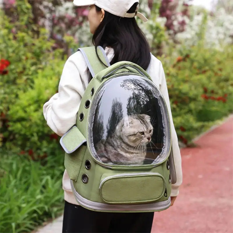 Mochila para gato mascota tipo astronauta en color verde oliva con cúpula transparente que alberga un gato atigrado, diseñada para un transporte seguro y con estilo de la mascota.