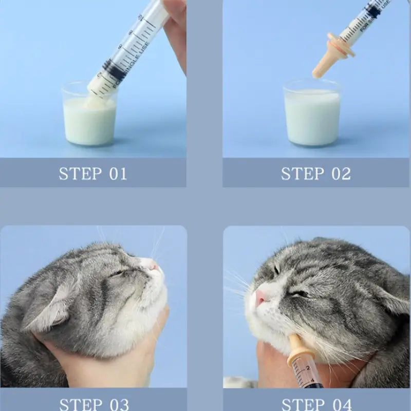 clear plastic pet oral syringe with beige silicone nipple tip designed for feeding formula to kittens