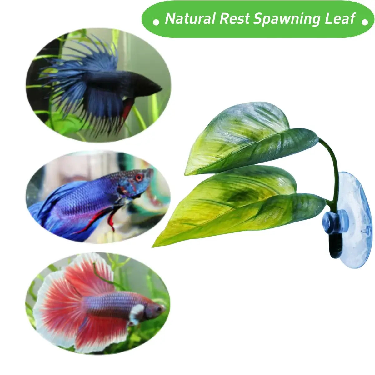 Green artificial betta leaf hammock aquarium plant with suction cup base for easy attachment inside fish tanks.