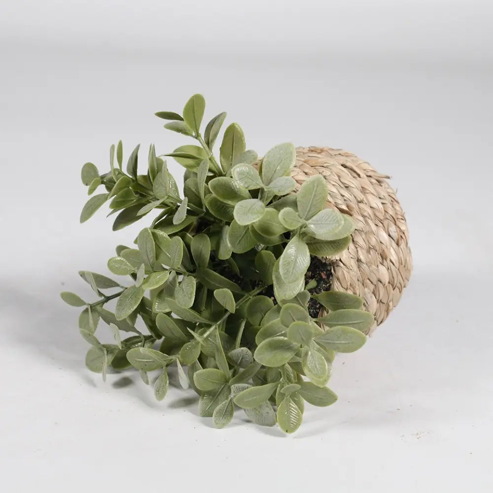 Une luxuriante plante artificielle en pot d’eucalyptus à feuilles vertes, nichée dans un panier tressé au ton naturel, mesurant 11 cm.