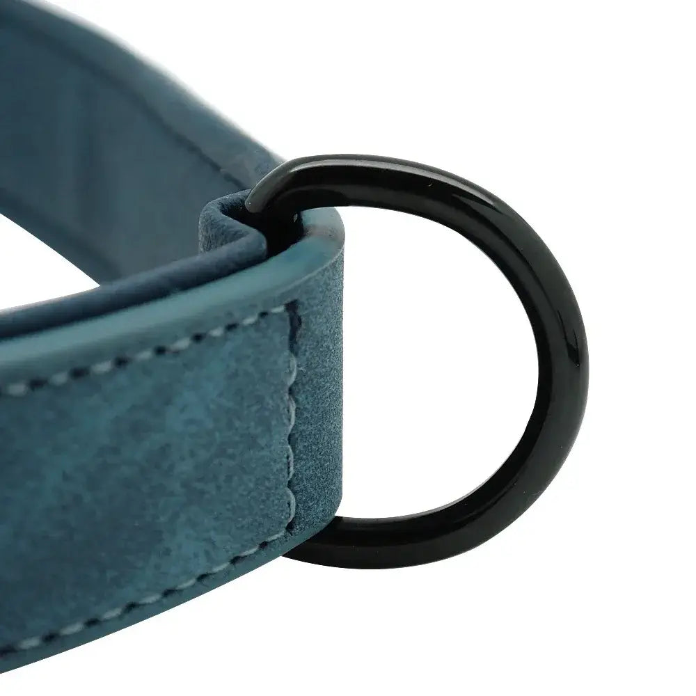 Teal suede customized leather dog collar with nameplate featuring a black metal ring for durable attachment and easy customization information.