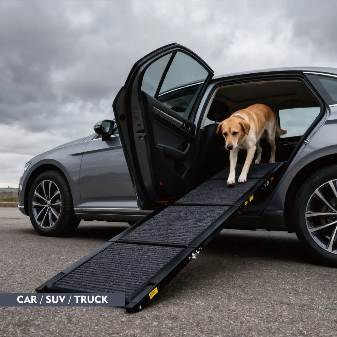 Rampe portative noire texturée pour chien pour voiture, SUV et camion, d’une capacité de 113 kg (250 lb), vue depuis l’arrière