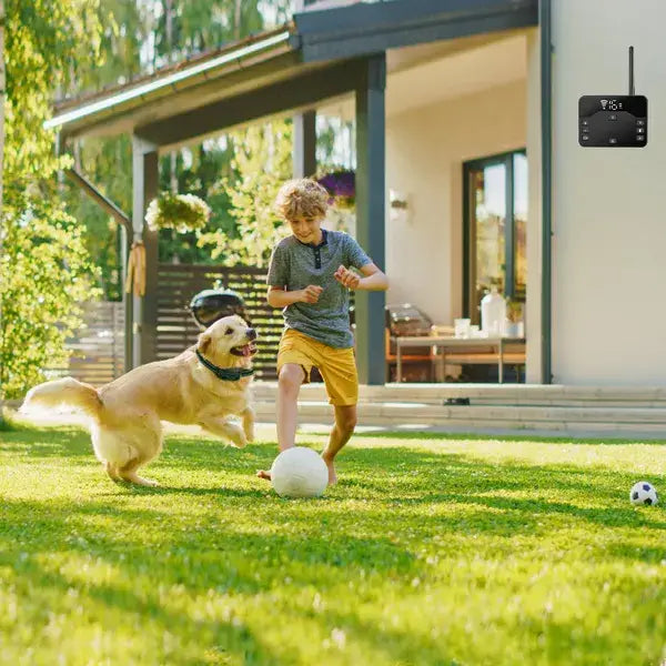 Thermostat intelligent sans fil noir avec affichage numérique et antenne, présenté vu de l’arrière dans le cadre d’un produit de système de confinement sans fil pour chien et de collier de dressage.