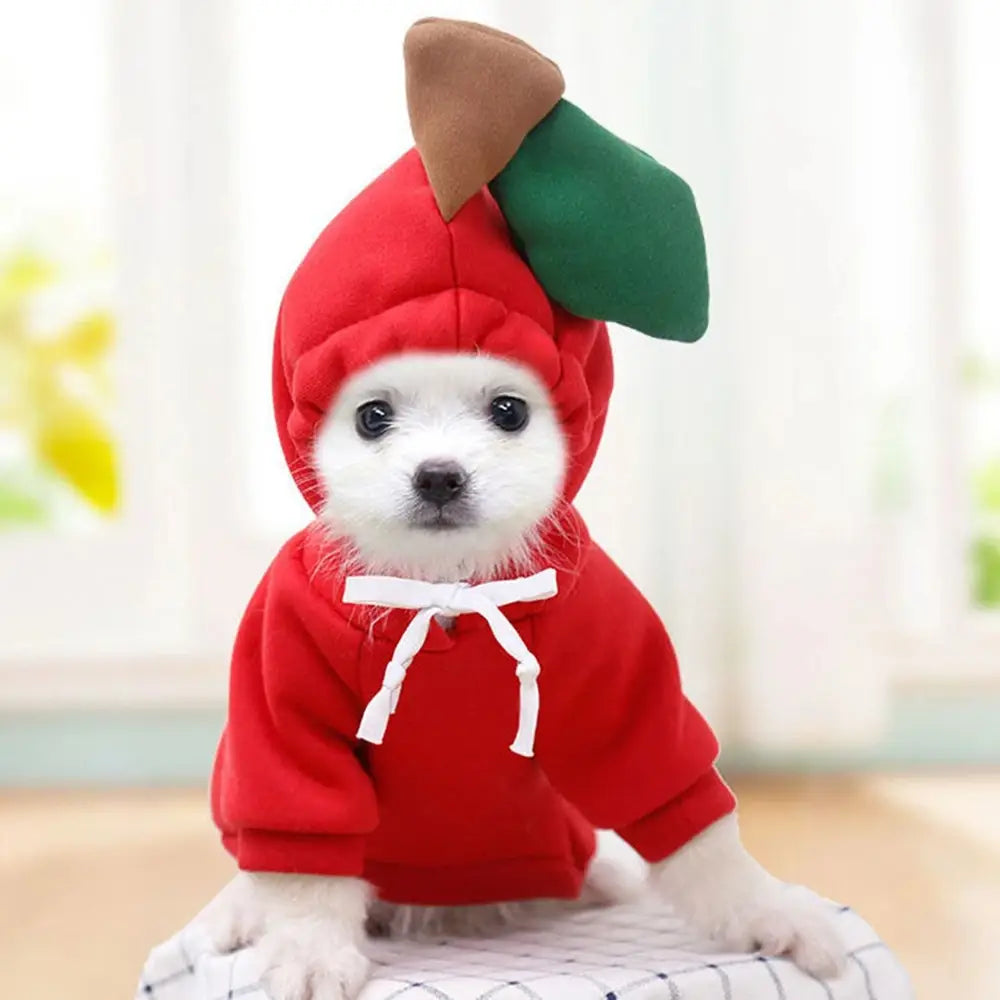 Sudadera con capucha de perro de fruta, abrigo de forro polar cálido para el invierno, ropa para cachorro