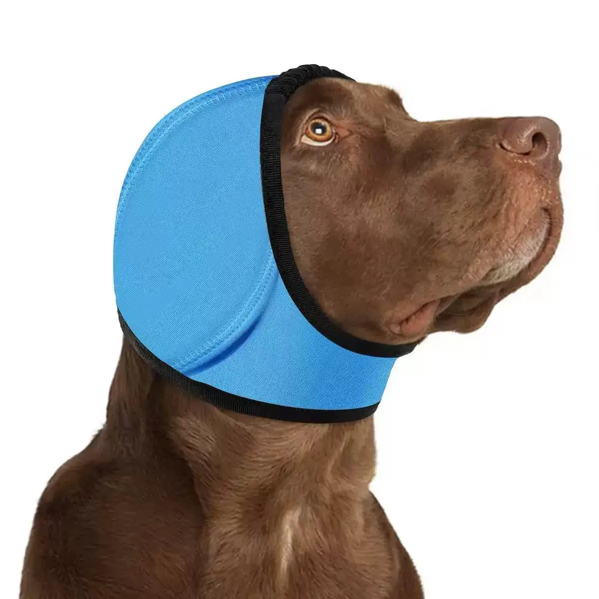 protecteur d’oreilles de chien en tissu bleu avec bordure noire, fabriqué en néoprène, pour une utilisation comme bonnet de bain