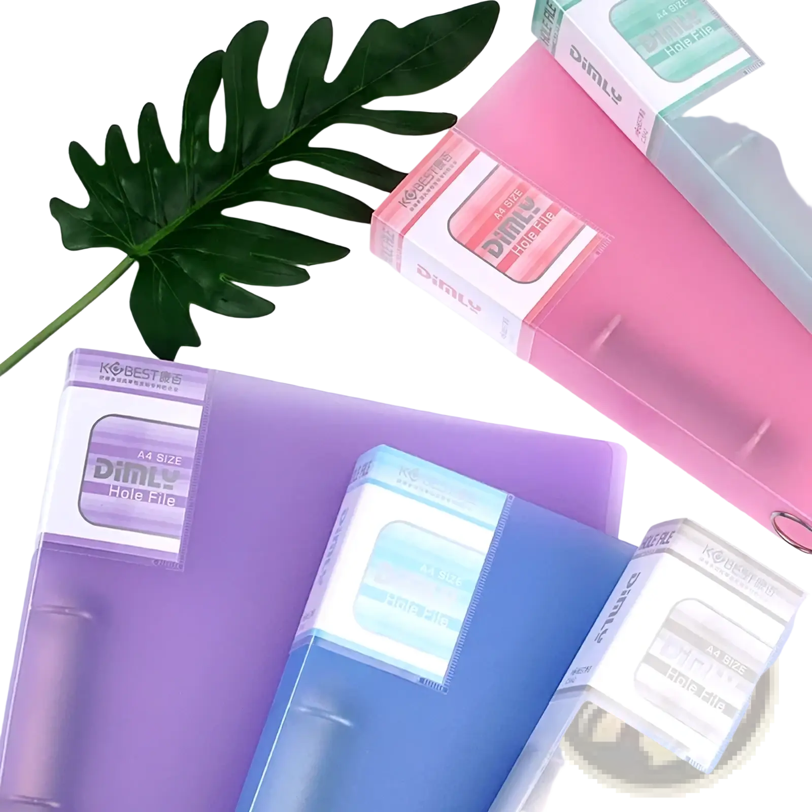 A4 pastel binder file folders in purple blue and pink plastic with clear labeling and transparent ring organizers