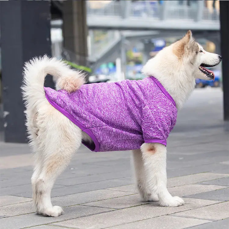 Pull chaud mauve chiné en acrylique avec bordure mauve unie, conçu pour les grands chiens comme tenue d’hiver confortable pour animaux de compagnie.
