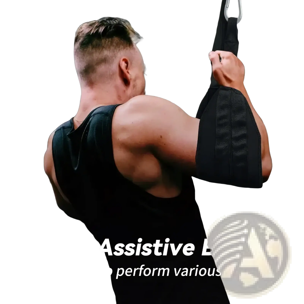 Black heavy duty ab sling straps suspension training belts with padded adjustable buckles for abdominal exercises
