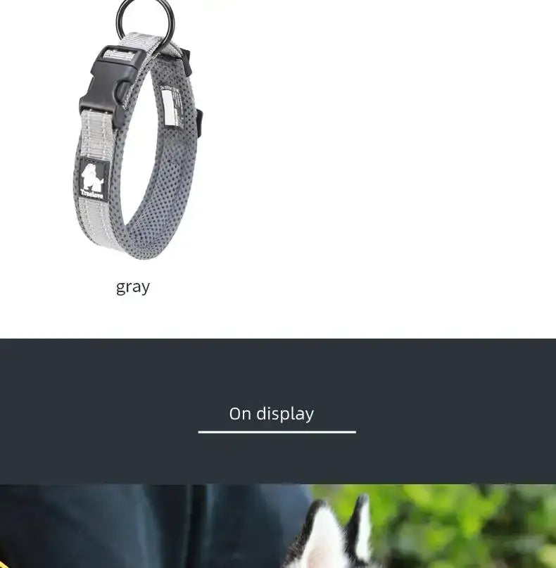 collar para perro de malla acolchada reflectante talla mediana en malla gris, con hebilla de plástico negra y anillo metálico para un ajuste seguro.