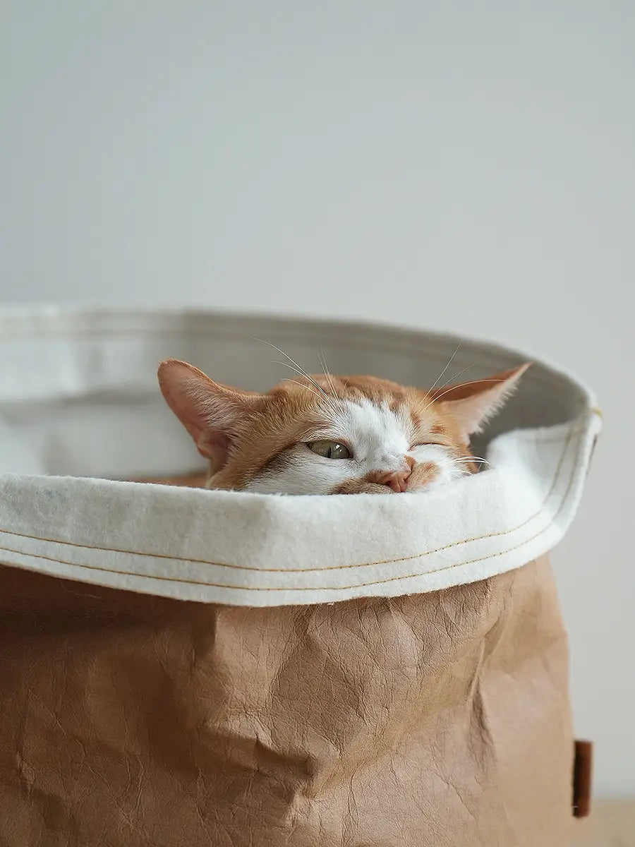 A cozy orange and white cat nestled comfortably in a brown kraft paper pet bed with a washable cream-colored fabric lining designed as a round dog cat nest.