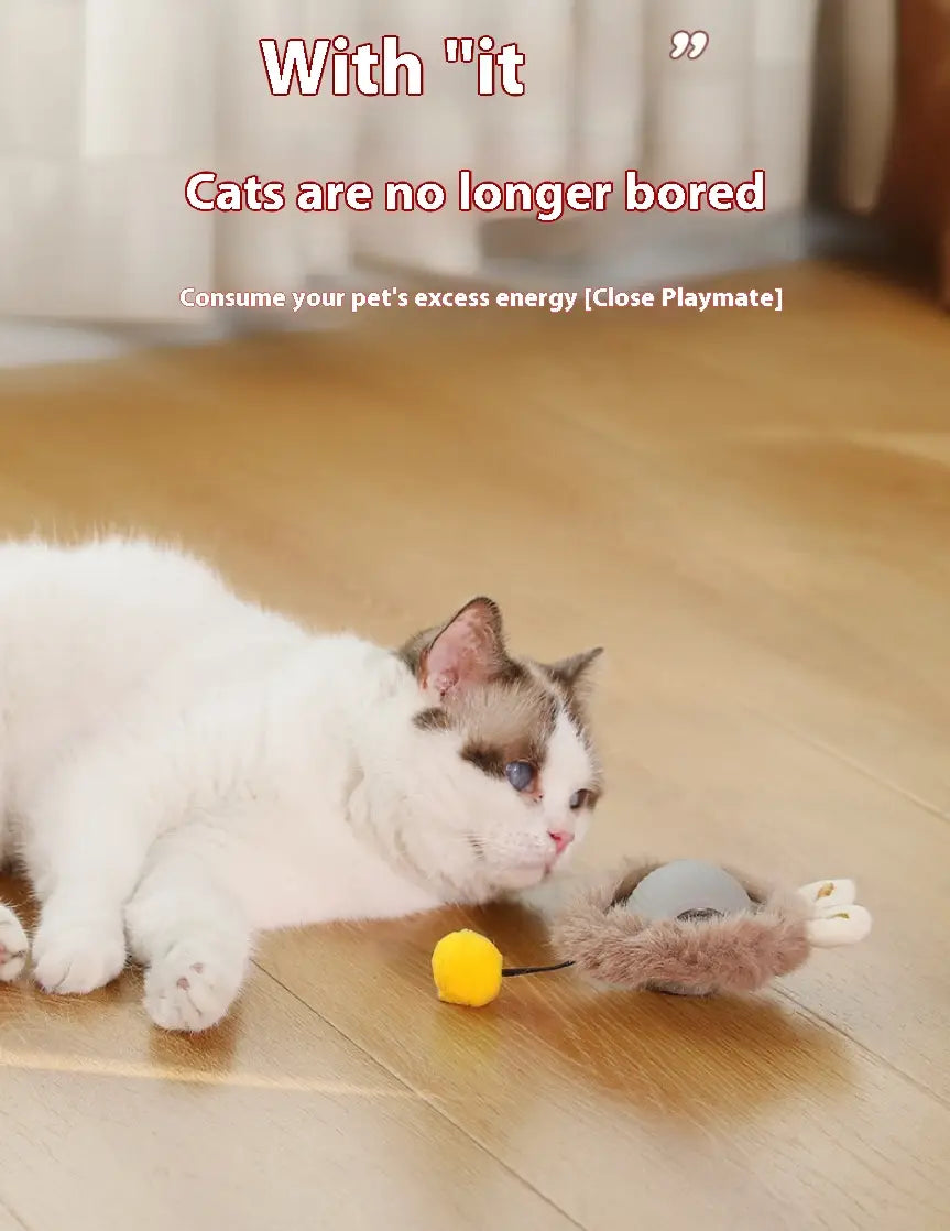 Plush Cat Ball Rolling Toy for Boredom Relief