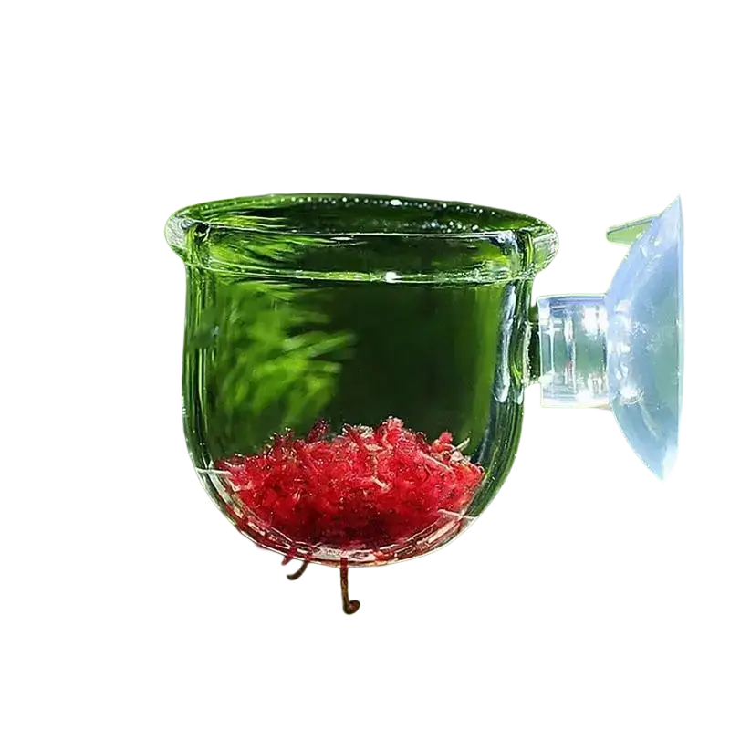 Clear glass acrylic aquatic plant cup with suction holder filled with red shredded fish food for aquarium feeding