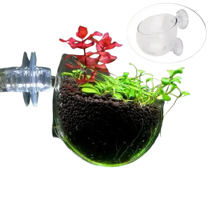 Clear plastic acrylic aquatic plant cup with suction holder for hanging aquatic plant display in aquariums