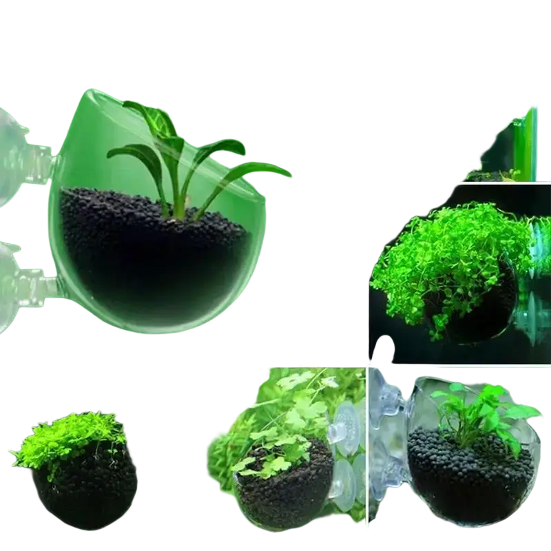Clear plastic acrylic aquatic plant cup with suction holder filled with dark substrate holding green aquatic plant