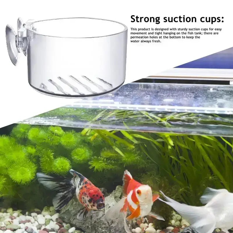Clear acrylic aquatic plant cup with sturdy suction cups and permeation holes for secure water changing