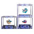 Clear acrylic betta fish tank with built-in led lighting and circular water bowls for acrylic betta fish display
