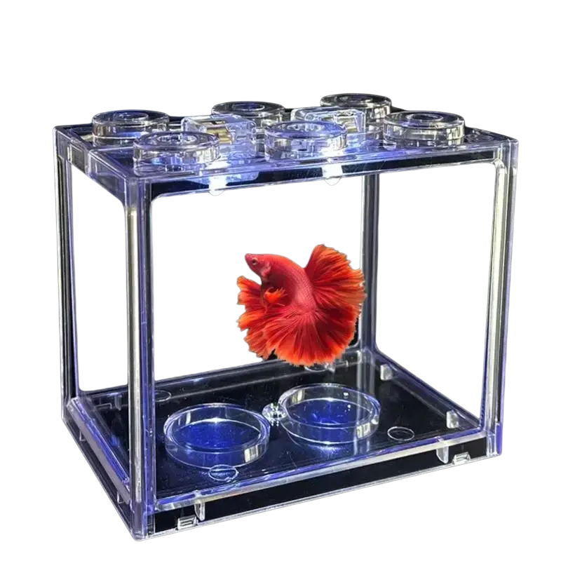 Clear acrylic betta fish tank resembling a lego brick with built-in water bowls and transparent circular lids for desktop use