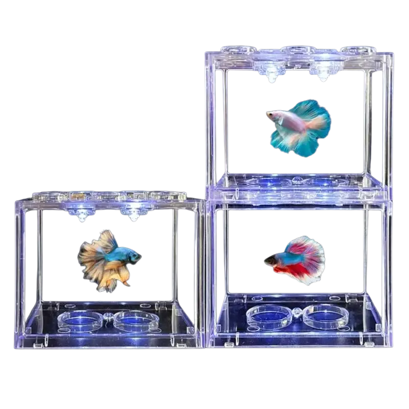 Acrylic betta fish tank desktop aquarium with clear plastic bowls and built-in led lights housing colorful betta fish