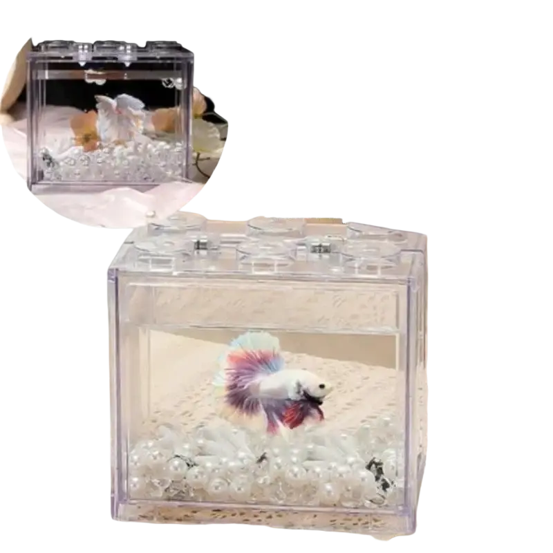 Acrylic betta fish tank clear mini desktop aquarium with white pearl-like gravel and a betta fish swimming inside