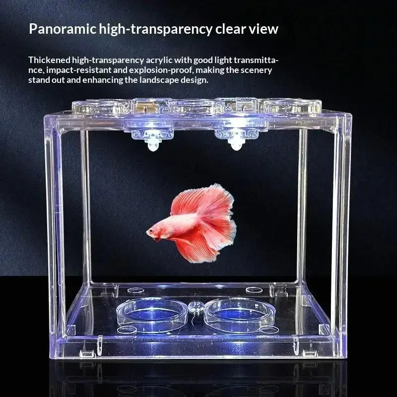 Clear acrylic betta fish tank with built-in lighting and dual circular water bowls for betta fish display