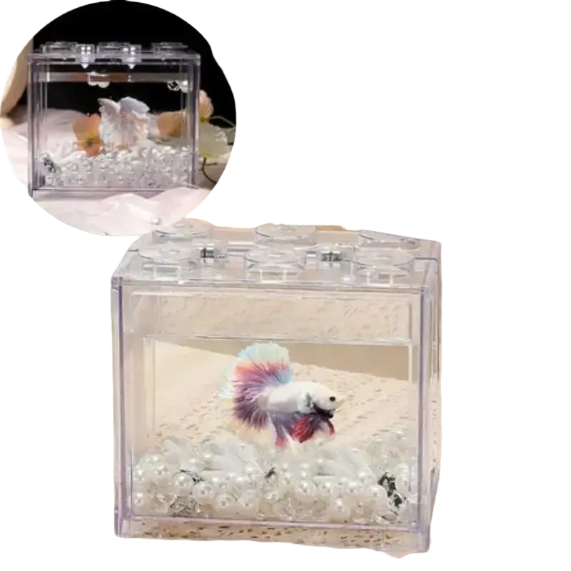 Clear acrylic betta fish tank stackable mini aquarium with white and multicolored betta fish and pearl decorations