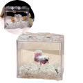 Clear acrylic betta fish tank stackable mini aquarium with white and multicolored betta fish and pearl decorations