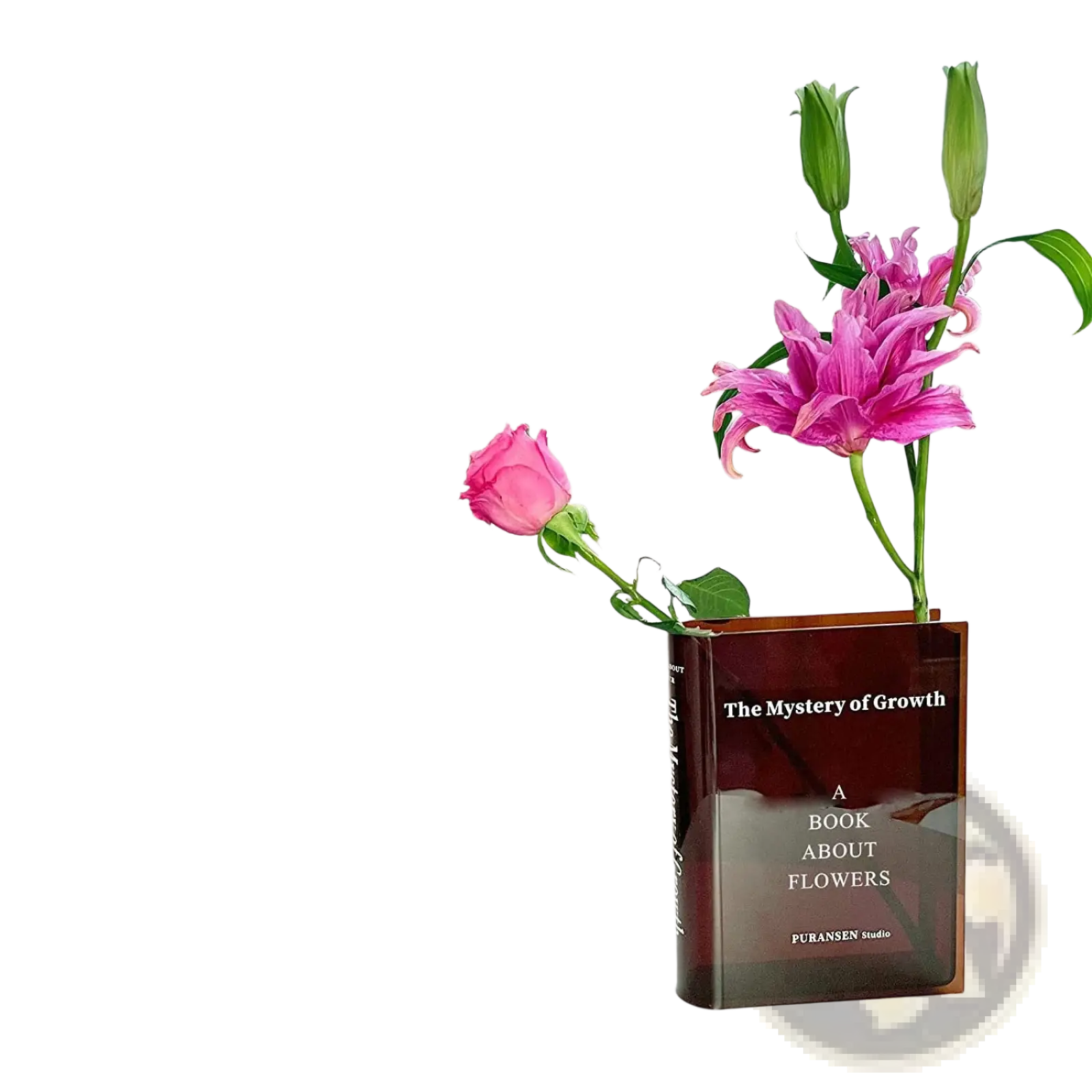 Acrylic translucent amber book-shaped vase titled the mystery of growth holding pink lilies and a rose for home decor