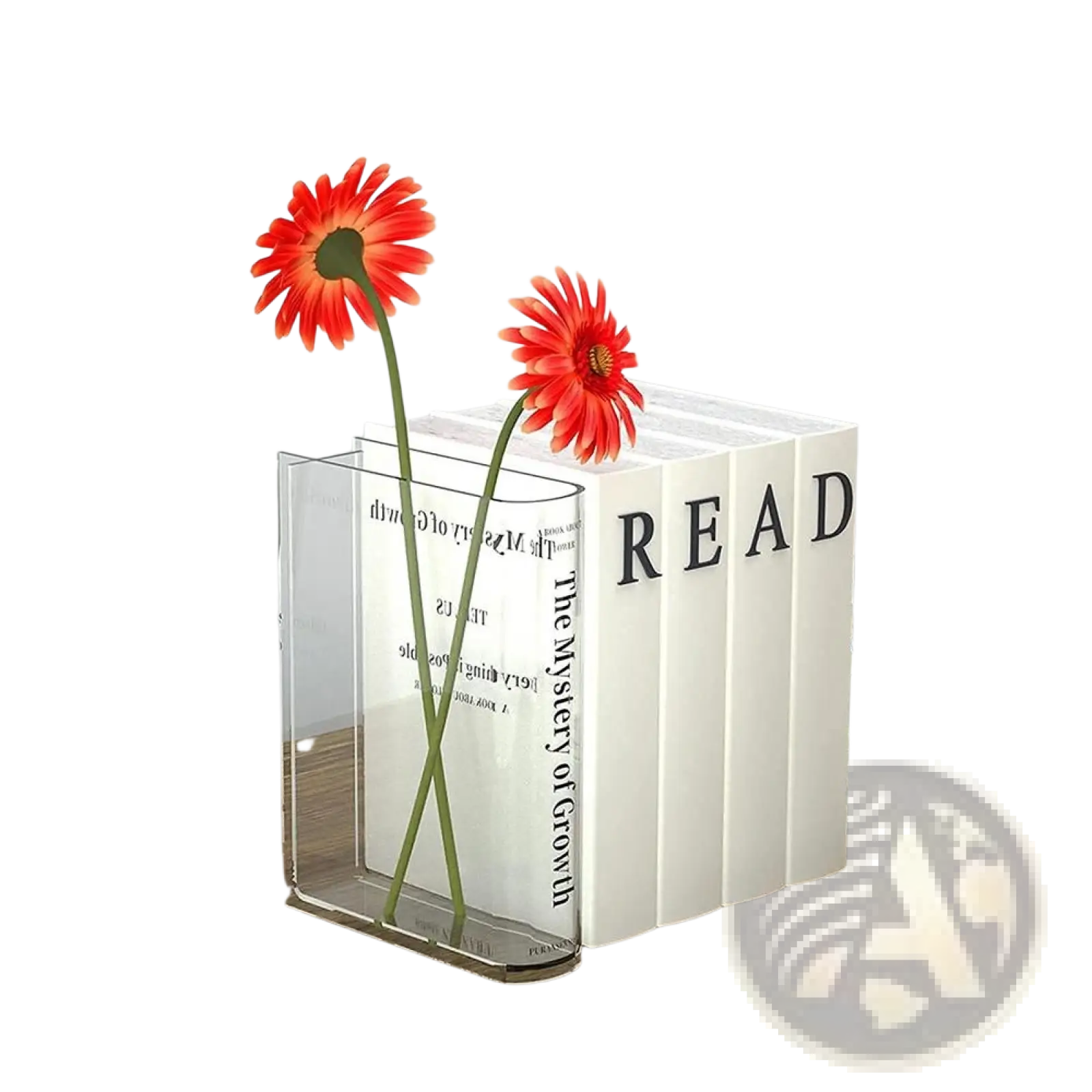 Clear acrylic bookend vase holding two vibrant orange gerbera daisies for modern decorative home decor