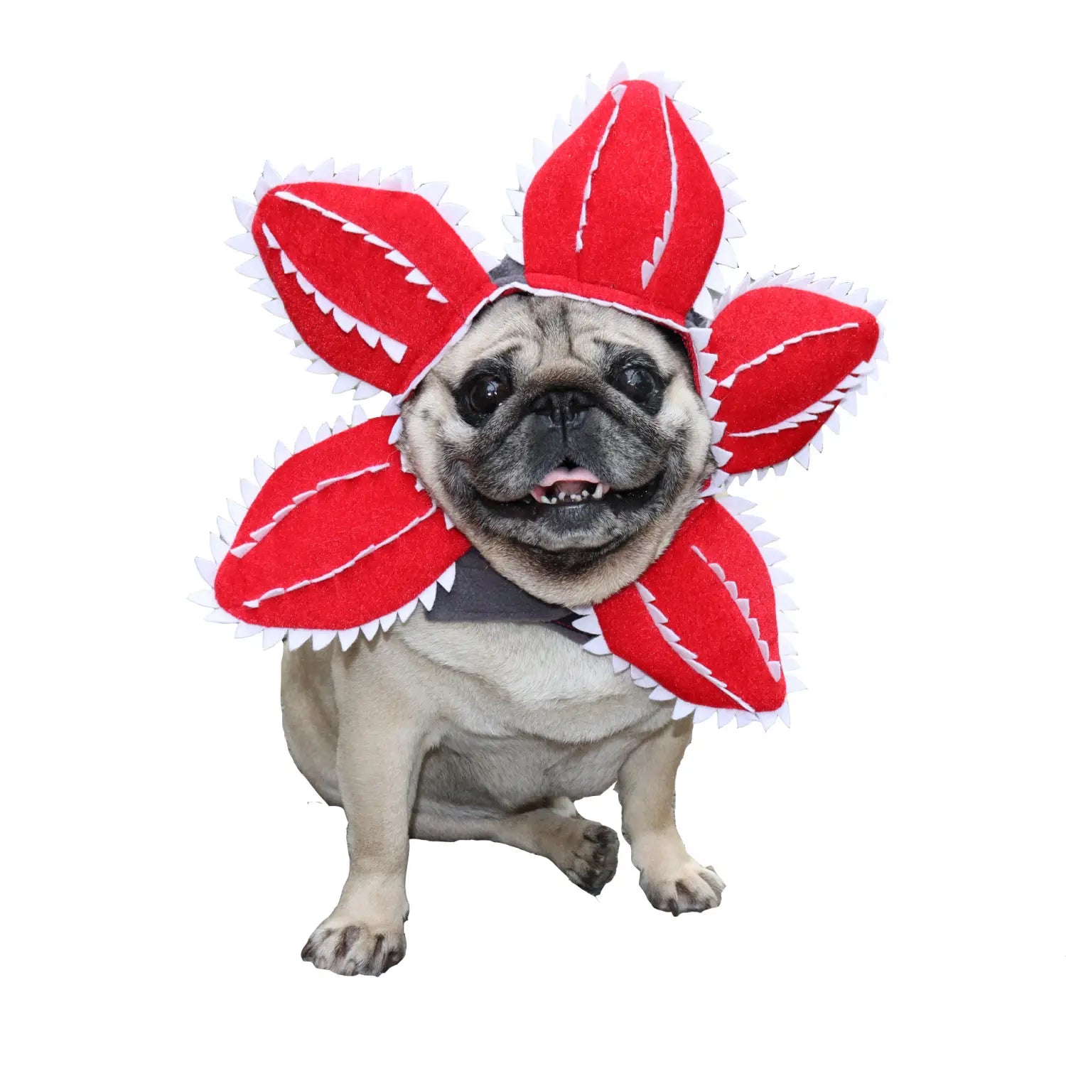 Red felt carnivorous flower dog hat plush pet costume with white stitched edges and jagged teeth-like details.