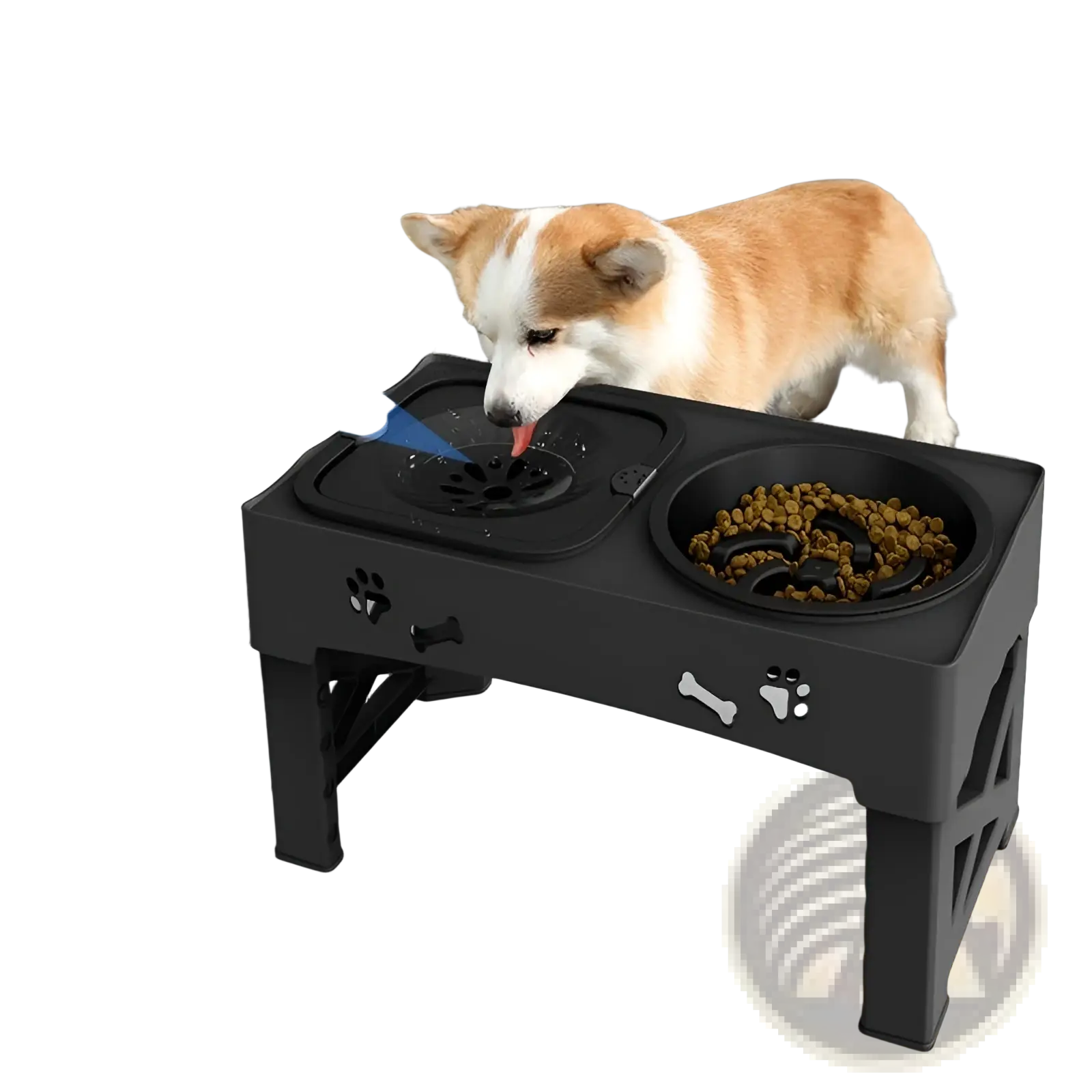 Adjustable double stainless steel pet feeder bowl with black plastic base and paw print bone decals for food and water