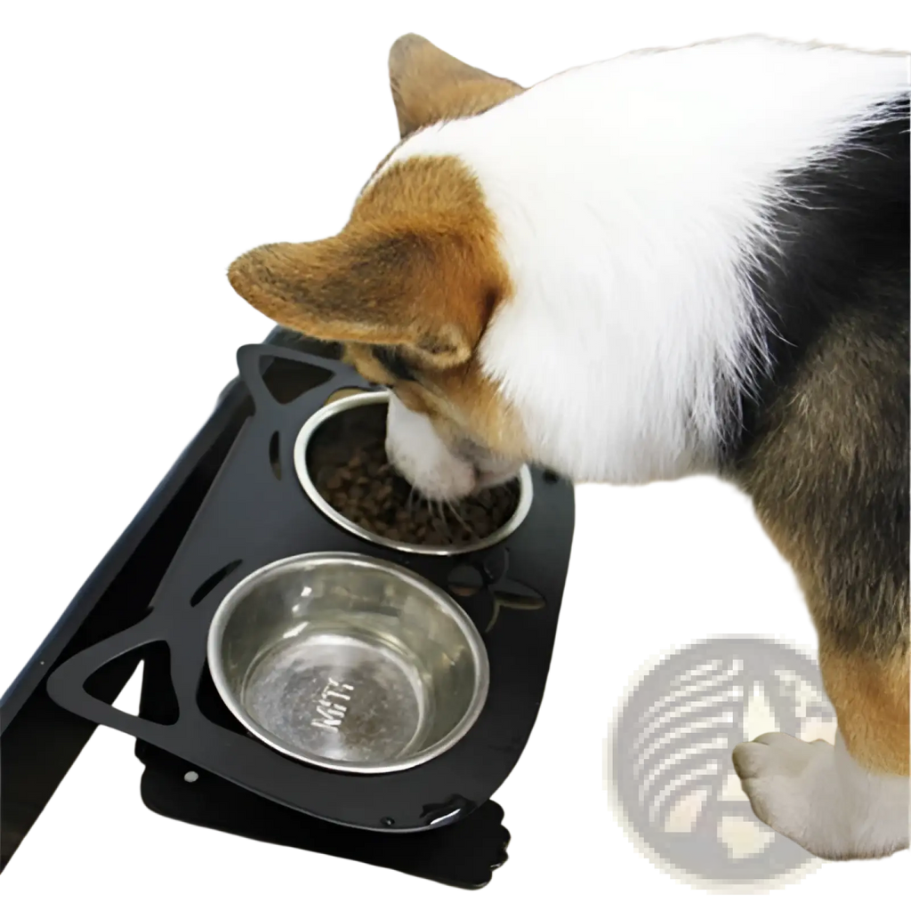 Adjustable elevated black cat-shaped pet feeder with two stainless steel bowls for feeding cats and small dogs