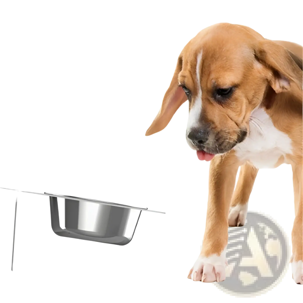 Silver stainless steel dog food bowl mounted on a sleek minimalist adjustable elevated double pet bowl stand