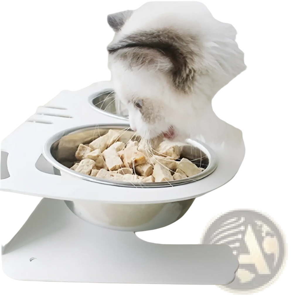 White adjustable elevated double pet feeding station with stainless steel bowl filled with cat food