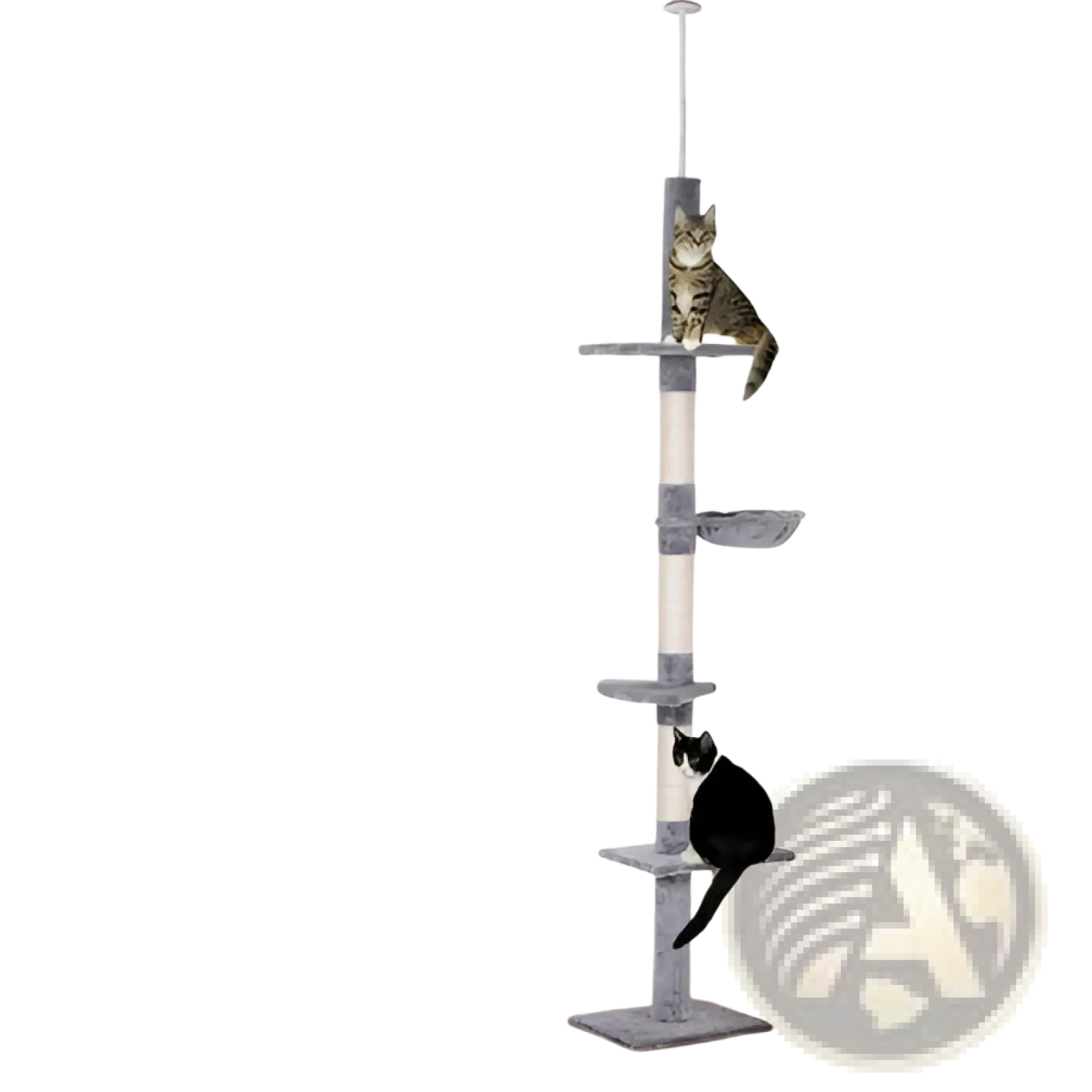 Adjustable floor to ceiling grey and white cat tree with sisal scratching posts and soft multi-level platforms